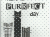 Purrfect cats 1