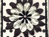 db_big_bold_flower21