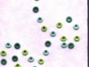 db_eyelet_daisy1