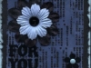 db_for_you1