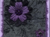 db_purple_n_black_flower1