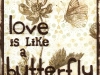 love-butterfly