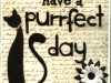 purrfect-day-cream